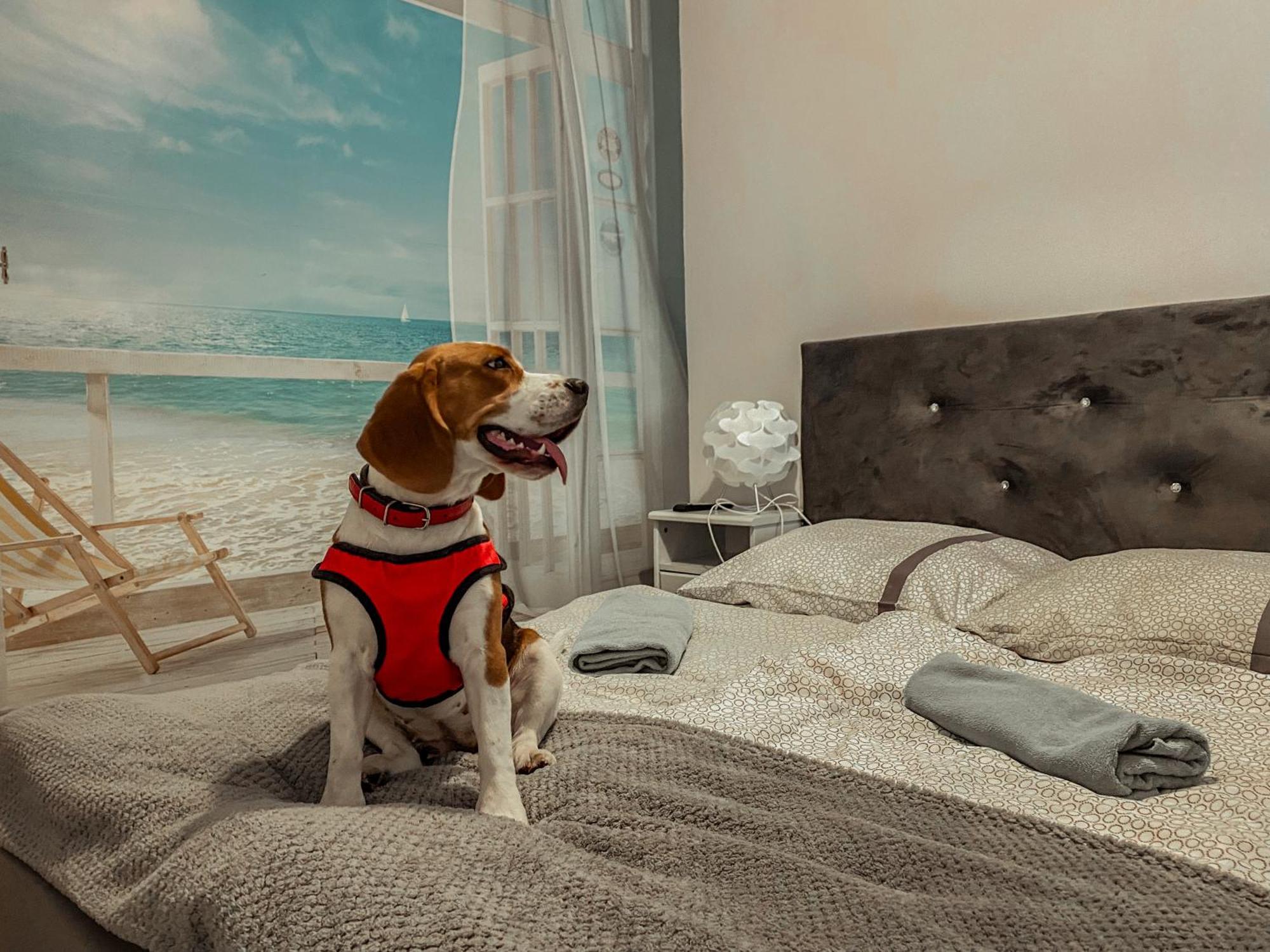 Hostel Przed Switem Гожув-Велькопольски Экстерьер фото