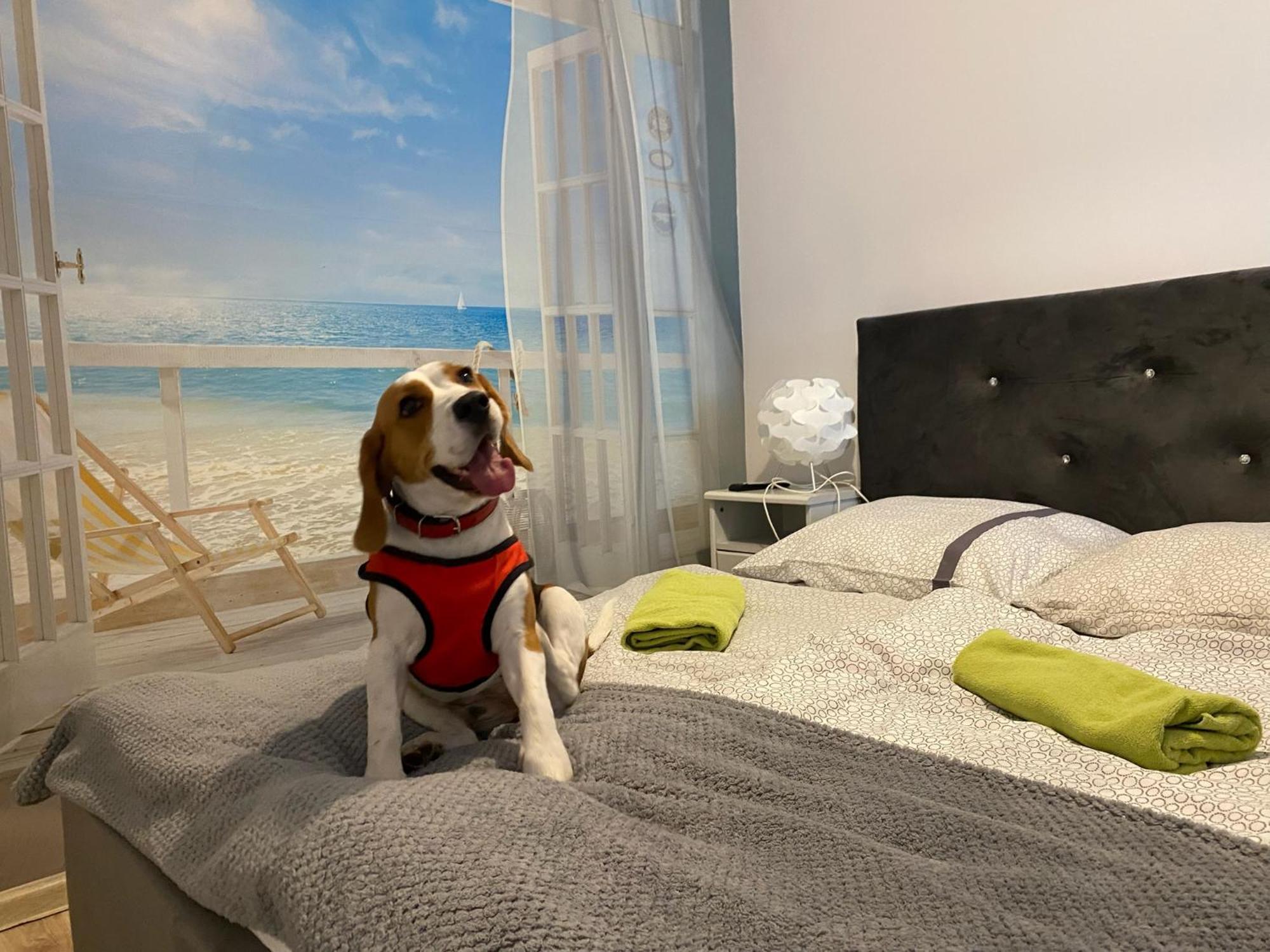 Hostel Przed Switem Гожув-Велькопольски Экстерьер фото